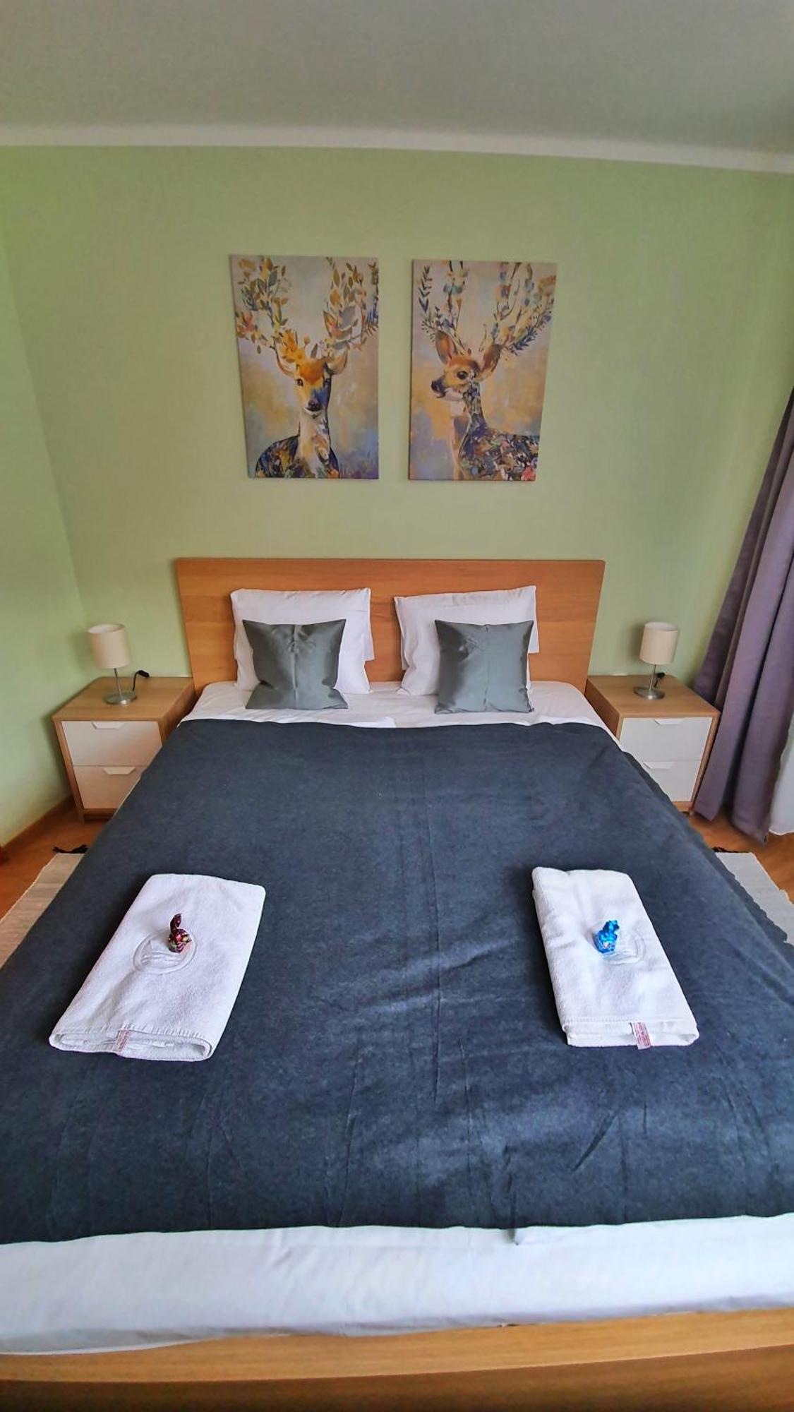 Pannonia Apartman Estergon Oda fotoğraf